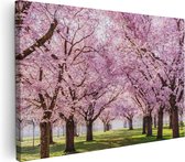 Artaza Canvas Schilderij Roze Bloesembomen Park - Bloemen - 90x60 - Foto Op Canvas - Canvas Print