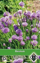 Van Hemert Zaden - Bieslook (Allium schoenoprasum)