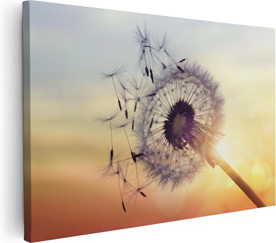 Artaza Toile Peinture Pissenlit Au Coucher Du Soleil - 30x20 - Klein - Photo Sur Toile - Impression Sur Toile