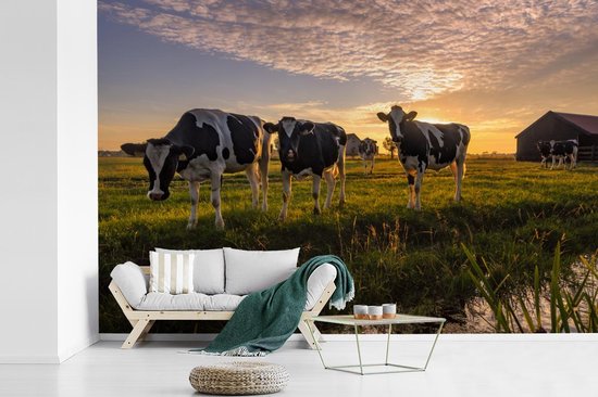 Papier peint - Papier peint photo Vache - Animal - Pâturage - Largeur 390 cm x hauteur 260 cm