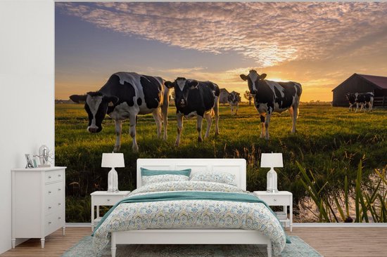 Papier peint - Papier peint photo Vache - Animal - Pâturage - Largeur 390 cm x hauteur 260 cm