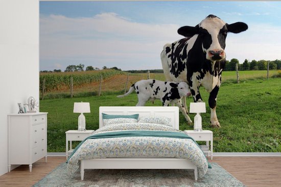 Papier peint - Papier peint photo Vache - Veau - Animaux - Herbe - Largeur 385 cm x Hauteur 280 cm