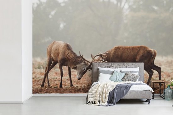Papier peint - Papier peint photo Cerf - Forêt - Herbe - Largeur 330 cm x hauteur 220 cm