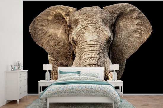 Papier peint - Papiers Papier peint photo Éléphant - Portrait - Zwart - Largeur 390 cm x Hauteur 260 cm
