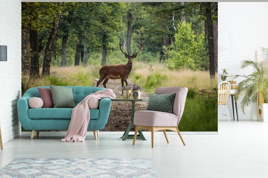 Papier peint - Papier peint photo Forêt - Cerfs - Arbres - Largeur 420 cm x hauteur 280 cm