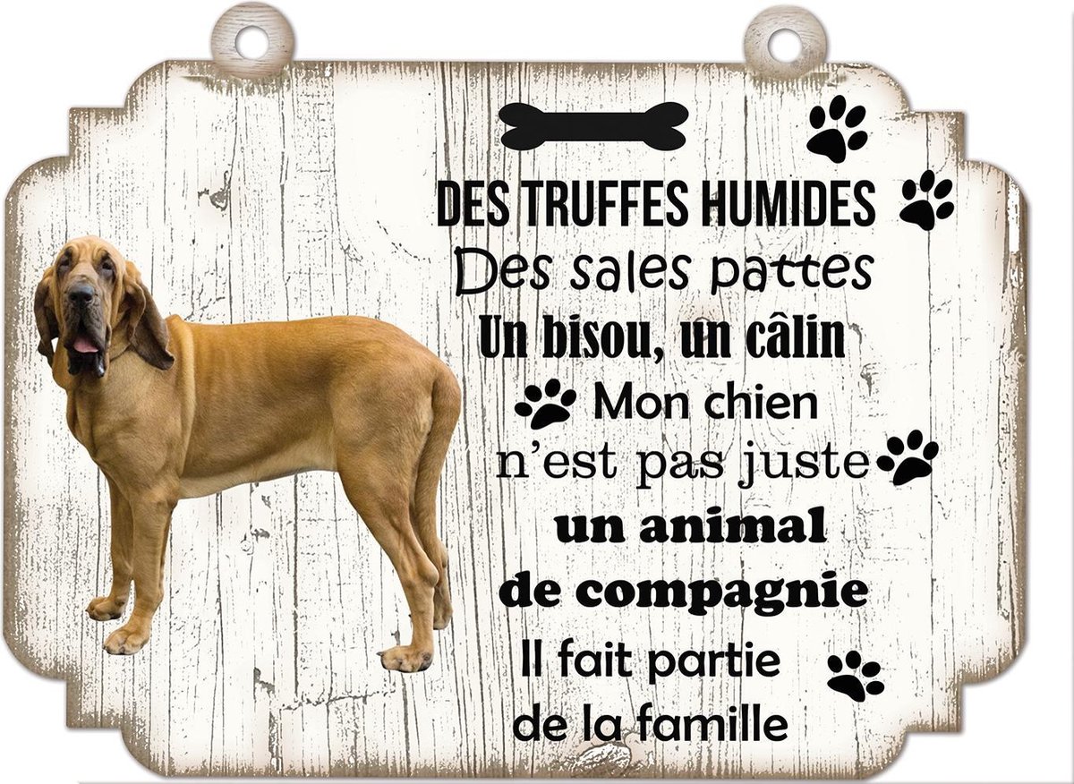 Tableau Déco - Loulou