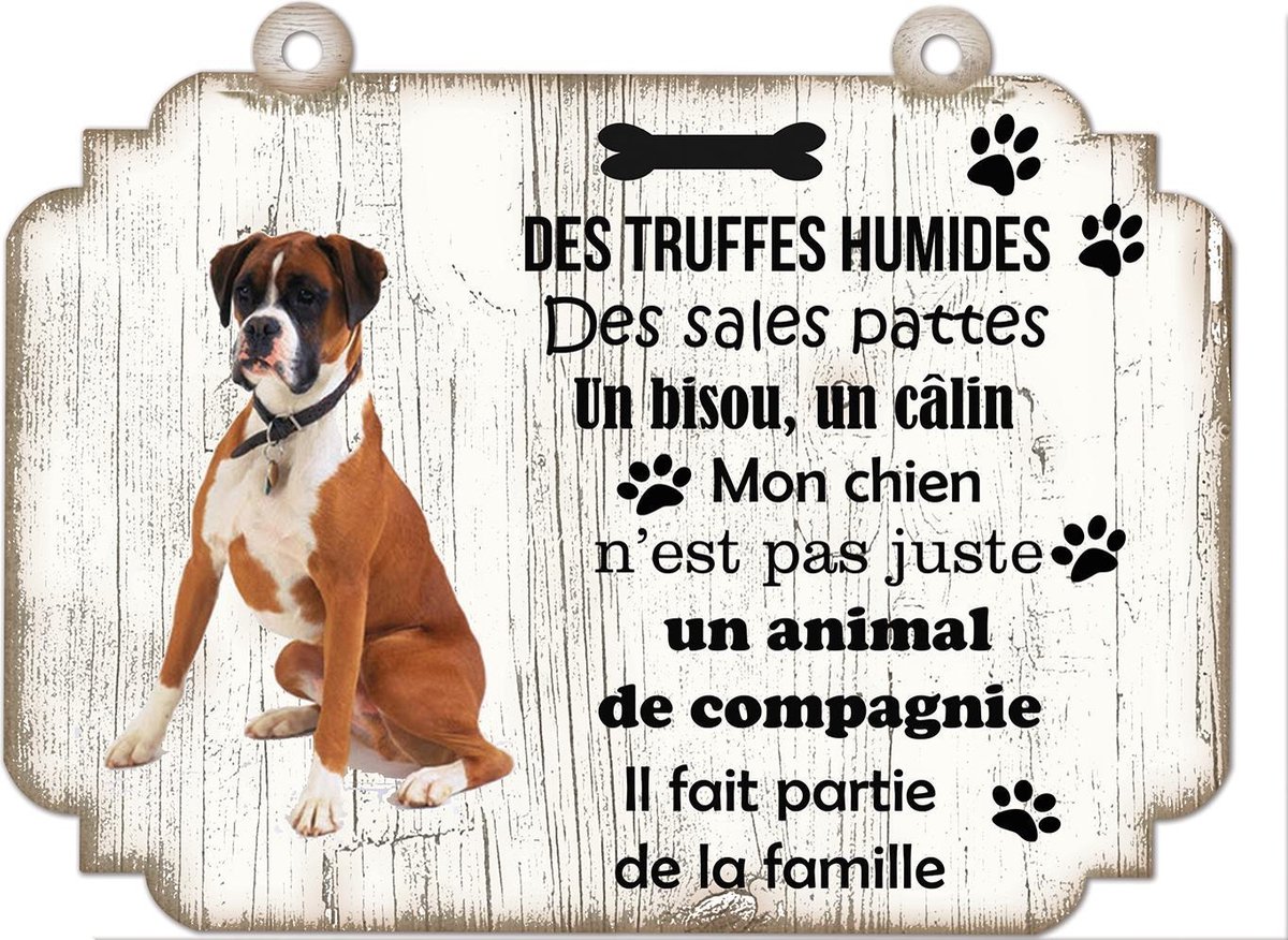 Tableau Déco - Boxeur
