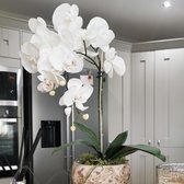 WiseGoods Luxe Kunst Phalaenopsis Orchidee Bloem - 1 Tak - 7 Bloemen - Woondecoratie - Kunstbloem - Zijden Orchidee - 70cm - Wit