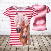 Paarden shirt streep rood -s&C-110/116-t-shirts meisjes