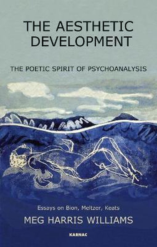 The Aesthetic Development - cover