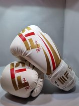 F.T Sports – Boxing Gloves- FTS Series Double protection Series Premium Quality Unisex