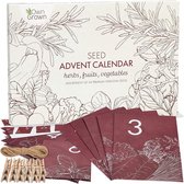 OwnGrown - Seeds Advent Kalender 2021: Prachtige feestelijke adventkalender met Kruidenzaden, Fruitzaden en Groentezaden - Tuinieren DIY Advent Kalender - Plantenzaden Kerstkalender
