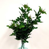 Twee deco kunsttakken jasmijn 48 cm