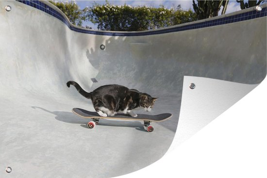 Tuinposters buiten Kat - skateboard - Zwembad - Jongens - Kinderen - Meisjes - Kids - 90x60 cm - Tuindoek - Buitenposter