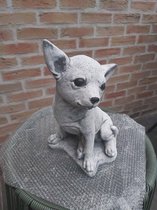 Chihuahua hond uit beton winterhard 30cm hoog gebroken wit