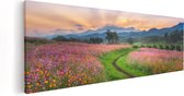 Artaza - Peinture sur toile - Champ de fleurs de Kosmos avec un chemin - Fleurs - 120 x 40 - Groot - Photo sur toile - Impression sur toile