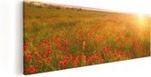 Artaza Canvas Schilderij Rode Klaproos Bloemenveld - Zonsondergang - 90x30 - Foto Op Canvas - Canvas Print