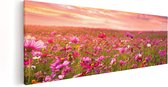 Artaza - Peinture sur toile - Champ de fleurs de Kosmos coloré - 120 x 40 - Groot - Photo sur toile - Impression sur toile