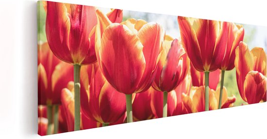 Artaza Canvas Schilderij Oranje Rode Tulpen  - 120x40 - Groot - Foto Op Canvas - Canvas Print