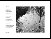Acacia – Alblasserbos2 – maçonniek gedicht in fotolijst zwart aluminium 30 x 40 cm