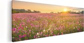 Artaza - Peinture sur toile - Champ de fleurs avec Kosmos rose - 90x30 - Photo sur toile - Impression sur toile