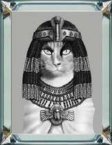 50 x 60 cm - Spiegellijst met prent - staande kat met een egyptische look - prent achter glas
