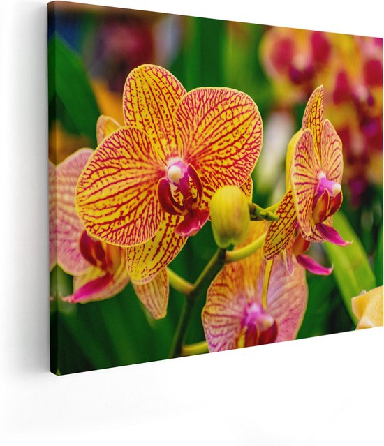 Artaza Canvas Schilderij Geel Rode Orchidee Bloemen - 100x80 - Groot - Foto Op Canvas - Canvas Print