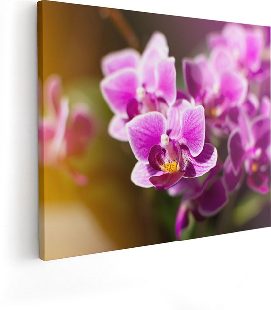 Artaza Canvas Schilderij Paarse Orchidee Bloemen - 100x80 - Groot - Foto Op Canvas - Canvas Print