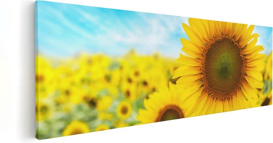 Artaza Canvas Schilderij Zonnebloemen Veld  - 60x20 - Foto Op Canvas - Canvas Print