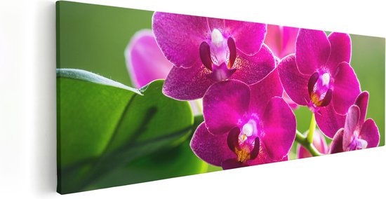Artaza Canvas Schilderij Roze Orchidee Bloemen - 90x30 - Foto Op Canvas - Canvas Print