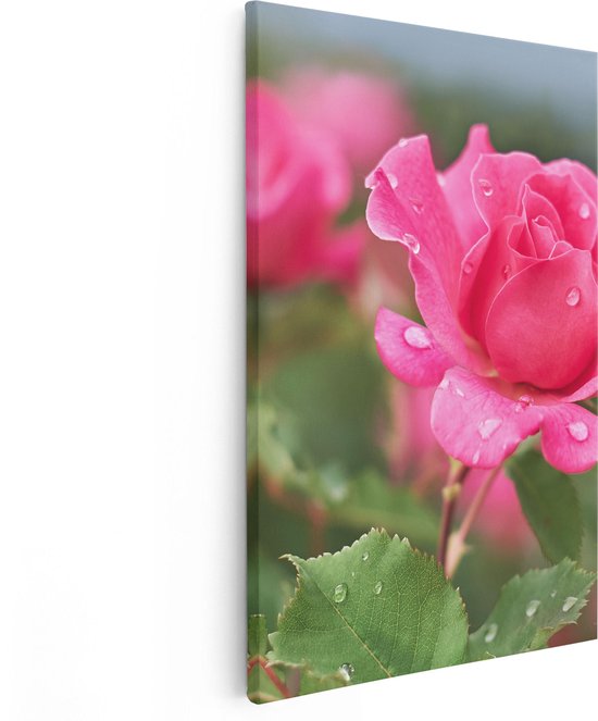 Artaza Canvas Schilderij Roze Roos Met Waterdruppels - 80x120 - Groot - Foto Op Canvas - Canvas Print