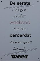 De eerste 5 dagen - Metalen borden - Metalen bordje - Metal sign - Wand bord - 20 x 30cm - Wand decoratie - UV bestendig - Bar decoratie - Eco vriendelijk - Cadeau - Cave & Garden