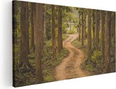 Artaza Canvas Schilderij Pad In Het Bos Met Bomen - 60x30 - Foto Op Canvas - Canvas Print
