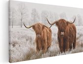 Artaza Canvas Schilderij Twee Schotse Hooglander Koeien In De Wei - 60x30 - Foto Op Canvas - Canvas Print