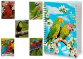 Boek over Ringen A4 Harde afdekking 3D