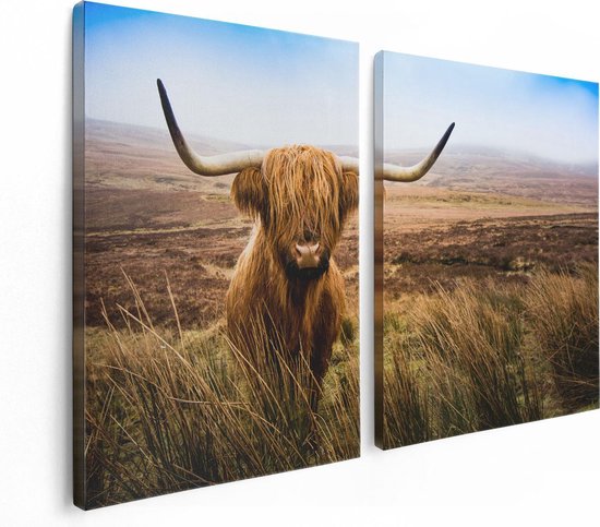 Artaza - Diptyque Peinture Sur Toile - Vache Highlander écossaise Dans Le Champ - 120x80 - Photo Sur Toile - Impression Sur Toile