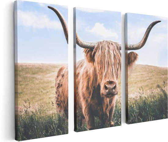 Artaza - Triptyque de peinture sur toile - Vache Highlander écossaise dans le pâturage - 120 x 80 - Photo sur toile - Impression sur toile