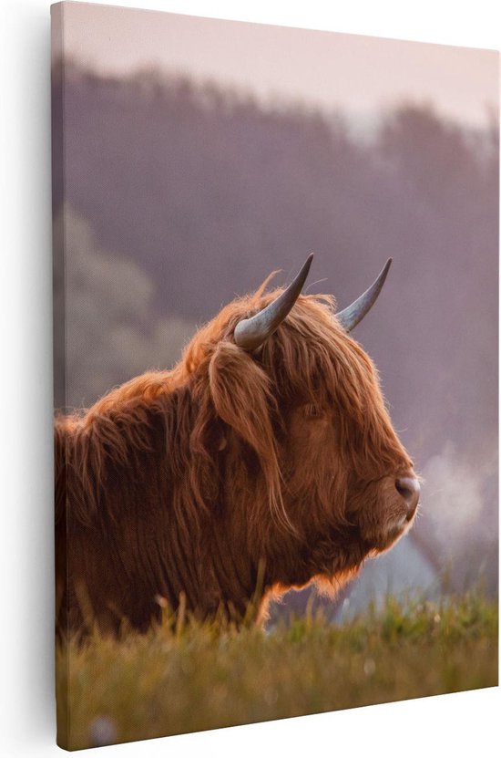 Artaza Canvas Schilderij Schotse Hooglander Koe Ligt In Het Gras - 80x100 - Groot - Foto Op Canvas - Canvas Print