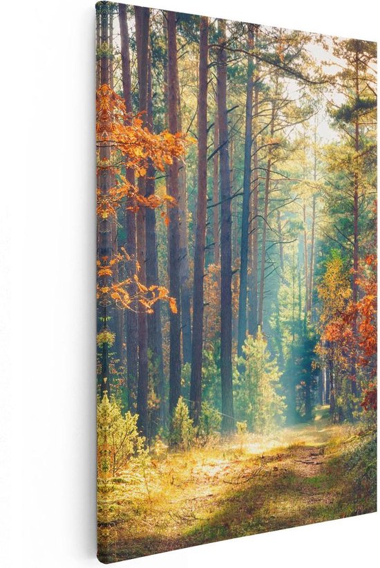 Artaza Peinture sur toile Forêt d'automne avec soleil - Couleur - 40x60 - Photo sur toile - Impression sur toile