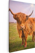 Artaza Canvas Schilderij Bruine Schotse Hooglander Koe - Kleur - 40x60 - Poster Foto op Canvas - Canvas Print
