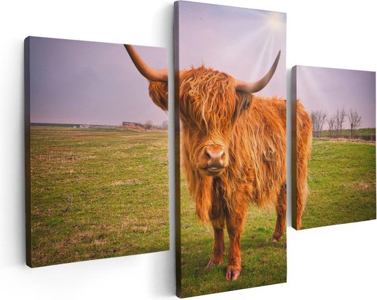 Artaza - Triptyque de peinture sur toile - Brown Scottish Highlander Cow - Couleur - 90 x 60 - Photo sur toile - Impression sur toile