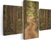 Artaza Canvas Schilderij Drieluik Pad In Het Bos Met Bomen - 90x60 - Foto Op Canvas - Canvas Print