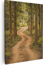 Artaza Canvas Schilderij Pad In Het Bos Met Bomen - 40x50 - Foto Op Canvas - Canvas Print