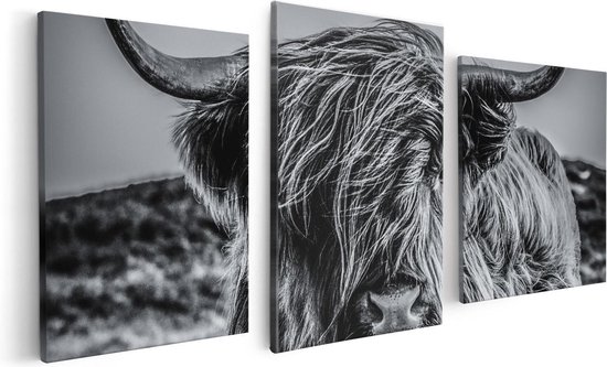 Artaza - Triptyque de peinture sur toile - Vache écossaise Highlander -  Zwart Wit -... | bol.com