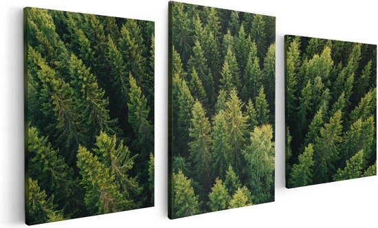 Artaza - Triptyque de peinture sur toile - Forêt avec des Arbres d'en haut - 120x60 - Photo sur toile - Impression sur toile