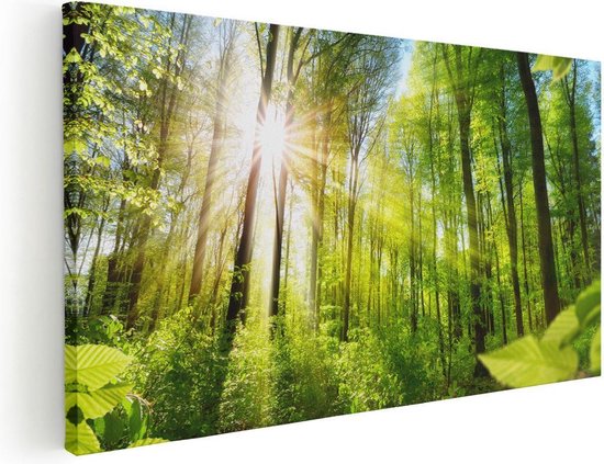 Artaza Canvas Schilderij Weg Omringd Met Bomen In Het Bos - 120x60 - Groot - Foto Op Canvas - Canvas Print