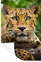 Stickers Stickers muraux - Panthère - Jungle - Vert - 40x60 cm - Feuille adhésive
