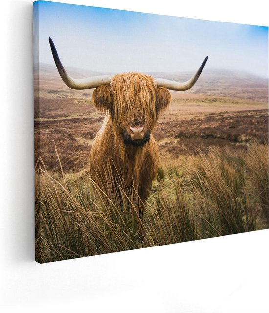 Artaza - Canvas Schilderij - Schotse Hooglander Koe In Het Veld - Foto Op Canvas - Canvas Print