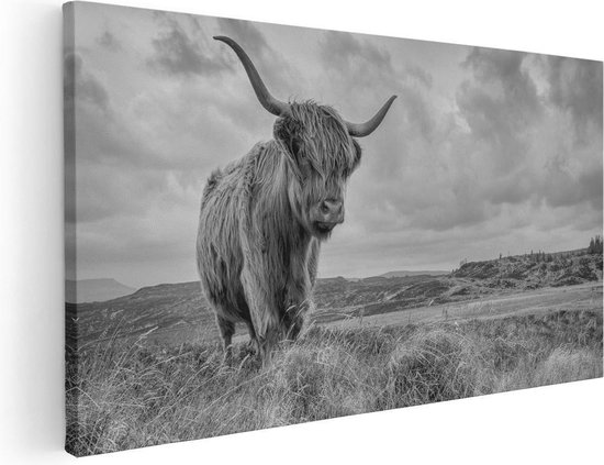 Artaza Canvas Schilderij Schotse Hooglander In De Wei - Zwart Wit - 120x60 - Groot - Foto Op Canvas - Canvas Print