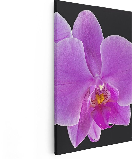 Artaza Canvas Schilderij Licht Paarse Orchidee - Bloem - 80x120 - Groot - Foto Op Canvas - Canvas Print